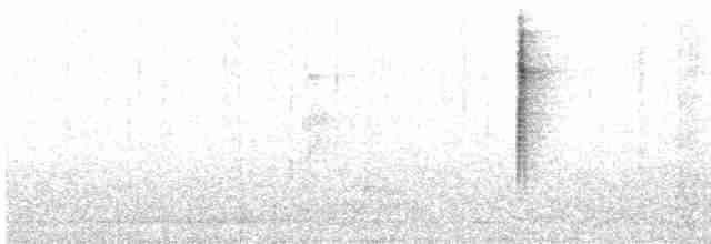 Turuncu Karınlı Çinte - ML614714178