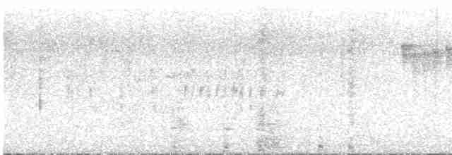 White-crested Tyrannulet - ML614718644