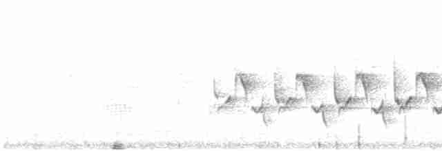 střízlík karolínský (ssp. albinucha/subfulvus) - ML614719194