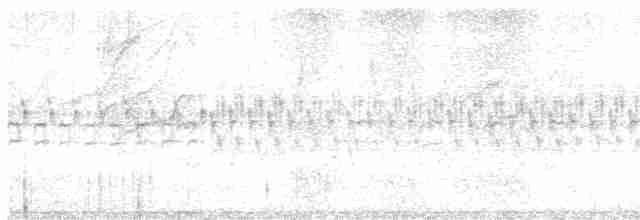 křivka bělokřídlá - ML614720520