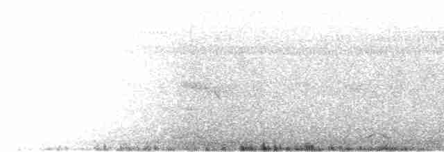 Pale-headed Woodpecker - ML614723930