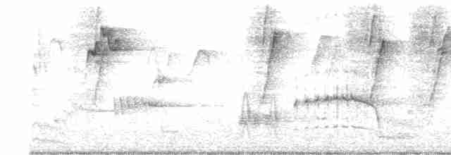 Черногорлая птица-бич (leucogaster/lashmari) - ML614724555