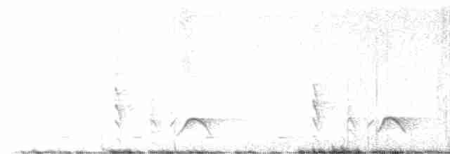 Черноспинная пухоспинка - ML614726084