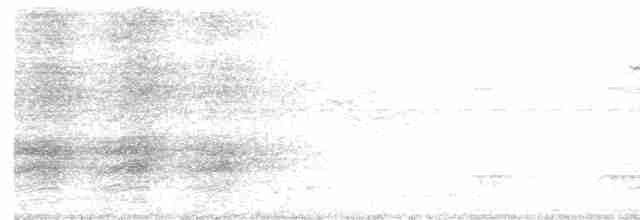 Белокрылая сорока (aterrimus) - ML614727603