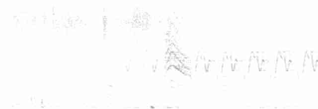 Елепайо гавайський (підвид bryani) - ML614729139