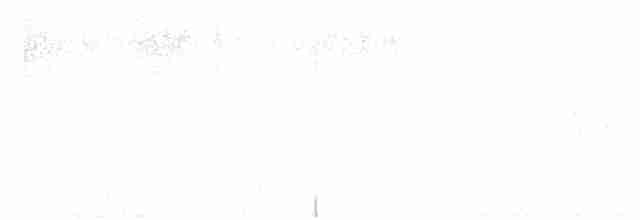 Елепайо гавайський (підвид bryani) - ML614729217