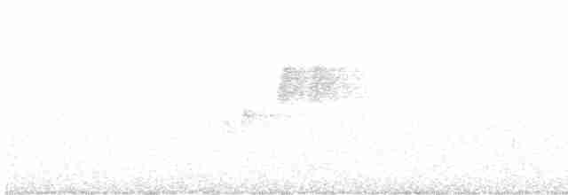 kakadu hnědohlavý - ML614729944