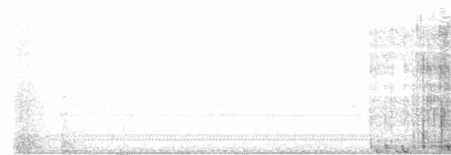 Белая куропатка (scotica) - ML614731352