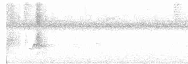 Flavescent Warbler - ML614733298