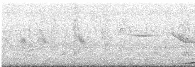 Сероглазая земляная горлица - ML614735595