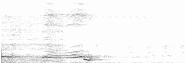 Кораловоклювая воронья кукушка - ML614735747