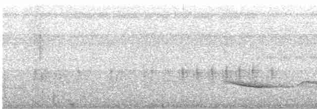 Short-tailed Babbler - ML614737115