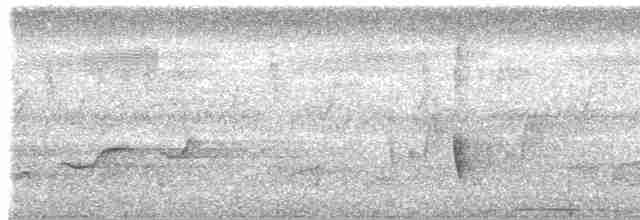 langnebbedderkoppjeger - ML614737168