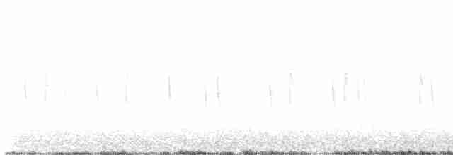 White-eared Hummingbird - ML614737346