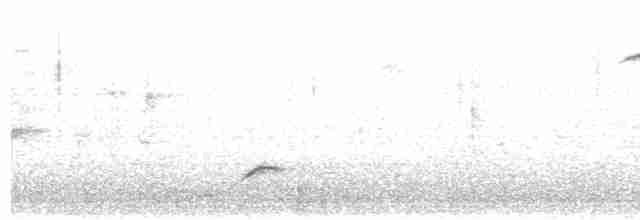 Pluvier grand-gravelot - ML614740560