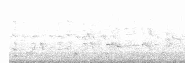 אנפית בקר מערבית - ML614743747
