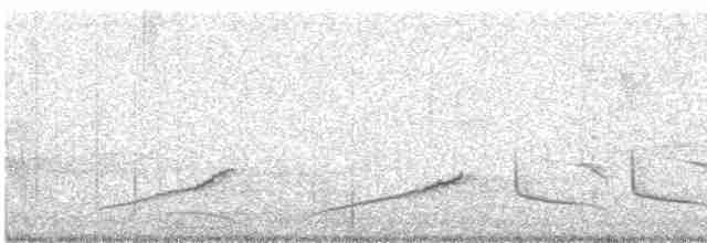 Поплітник каролінський - ML614746302