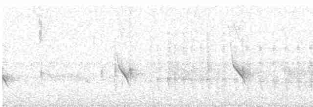 Рибалочка-чубань неотропічний - ML614748680