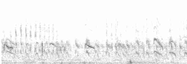 ארנריה אדמונית - ML614749287