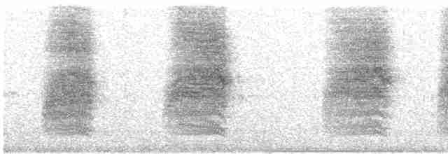 Длиннохвостый крапивник - ML614752244