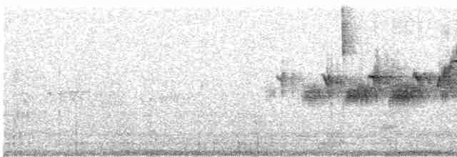 Black-throated Gray Warbler - ML614752246