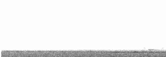 holub krátkozobý - ML614755468