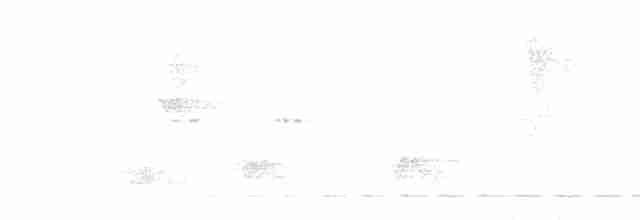 Kısa Kuyruklu Karıncaardıcı - ML614758344