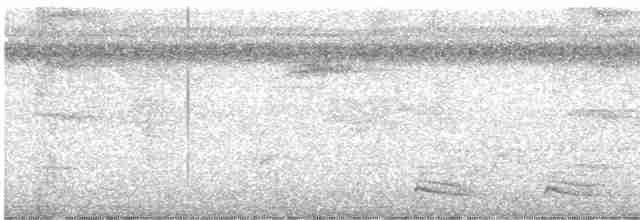 Якамара рудохвоста (підвид melanogenia) - ML614759763
