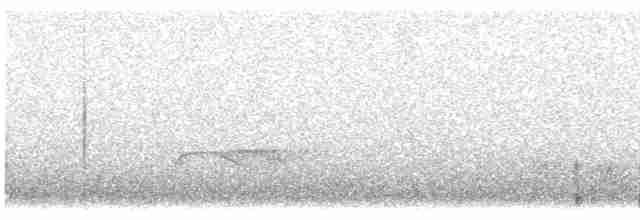 Stachelschwanzschlüpfer - ML614761412
