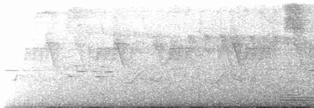 tukanskjeggfugl - ML614761953