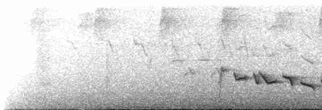 Kara Gagalı Koca Vireo - ML614761962