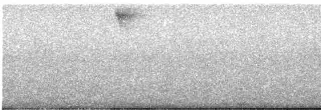Сова-голконіг гігантська - ML614762265
