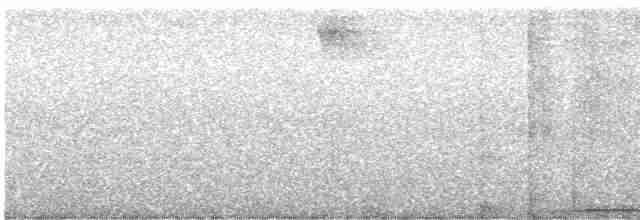 Гигантская иглоногая сова - ML614762268