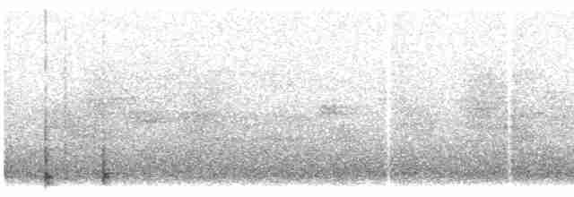 Tinamou perdrix - ML614763607