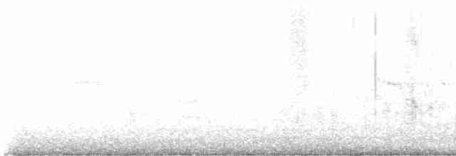Indian Gray Hornbill - ML614765011