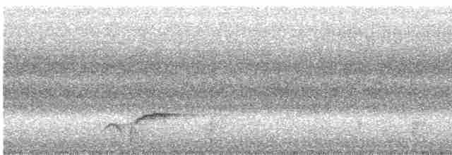 Black-headed Shrike-Babbler - ML614765693