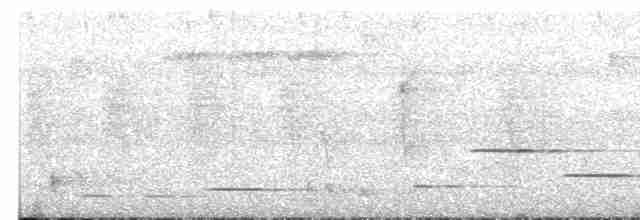 Тріскопліт рудолобий - ML614766052