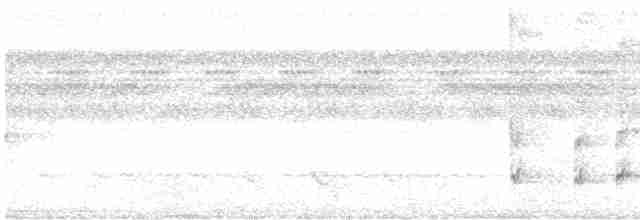 Todirostre zostérops - ML614766671