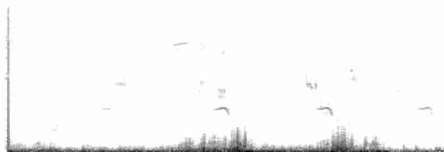 Benekli Notura Tinamusu - ML614767680