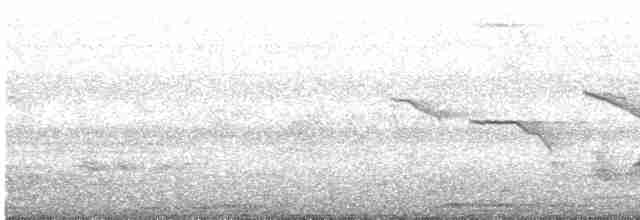 White-throated Kingfisher - ML614767939