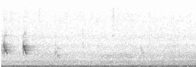 White-vented Whistler - ML614770454