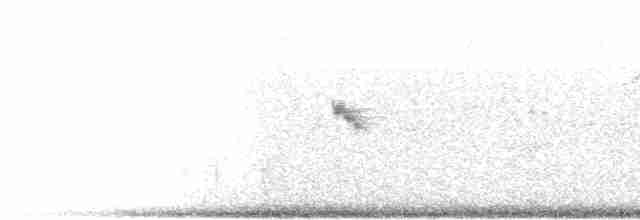 雑種 キアオジ ｘ シラガホオジロ - ML614771277