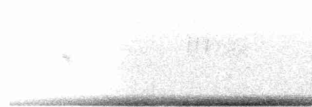 Вівсянка звичайна x білоголова - ML614771278