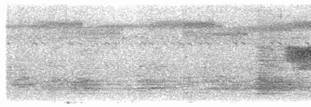 白斑紫嘯鶇 - ML614773653