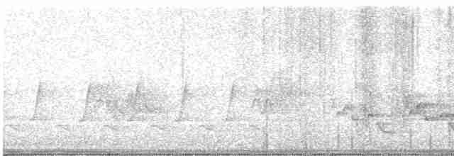 Karolina Çıtkuşu - ML614774430