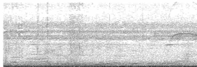 White-tailed Nightjar - ML614779390