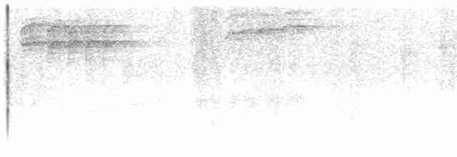 Kestane Karınlı Baştankara - ML614779393