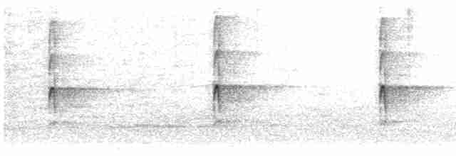 נקר לבן-גב (אירואסייתי) - ML614781697