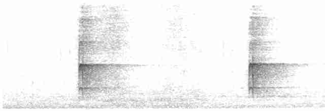 Pic à dos blanc (groupe leucotos) - ML614781910