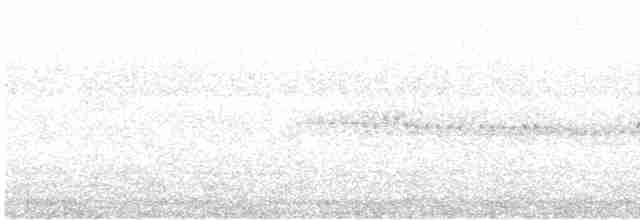 krembrystkurvfugl (arequipae) (svartvingekurvfugl) - ML614786292